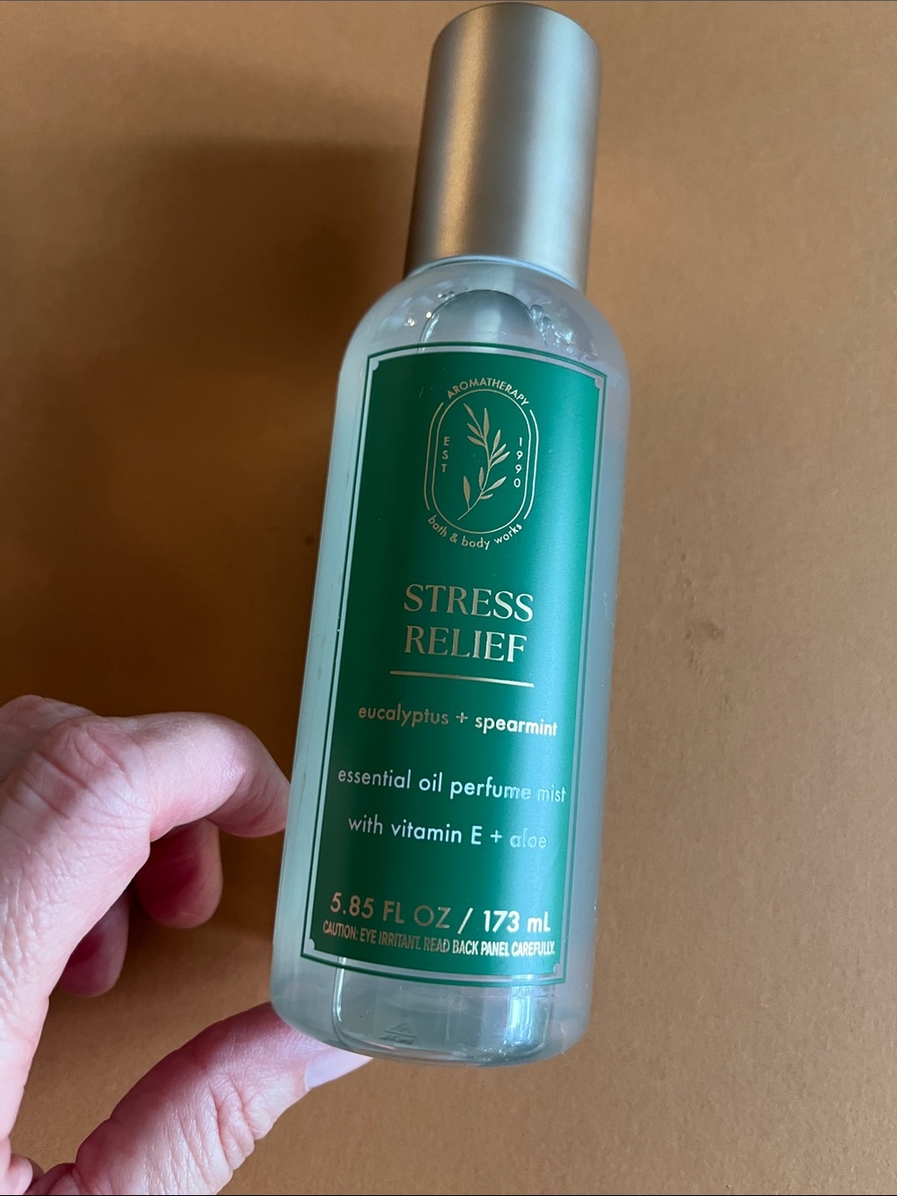 Bath & Body Works Aromatherapy Eucalyptus + Spearmint Mist - Green & Silver